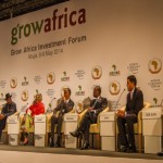 grow africa