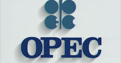 The OPEC Oil Cartel