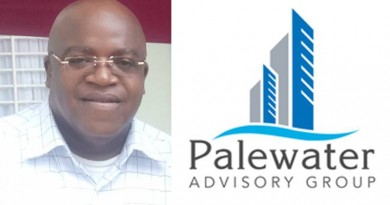 Alexander Nwuba of Palewater Advisory Group