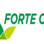 forte oil