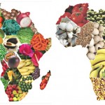Inter African trade