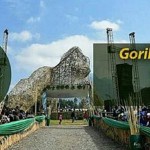 gorilla naming ceremony kwita izina