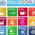 SUSTAINABLE DEVELOPMENT GOALS, SDGs