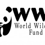 world wildlife fund wwf