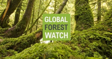 GLOBAL FOREST WATCH