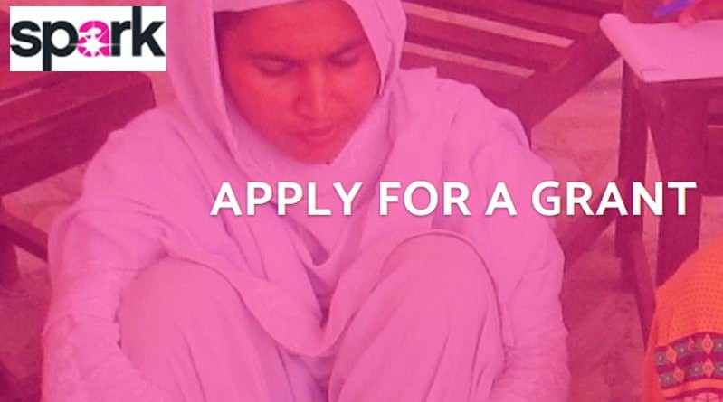 Spark Seed and Early stage Grants to Grassroots Women s Organizations and Initiatives