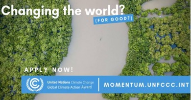 global climate action award