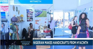 Nigerian female entrepreneur makes clothing and handicrafts from hyacinth