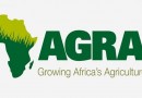 AGRA partnrs with USDA to improve food and agricultural systems for farmers