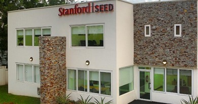 stanford seed