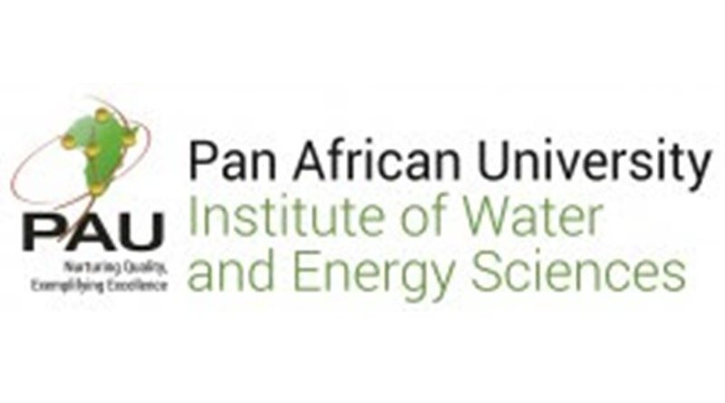 pan african university
