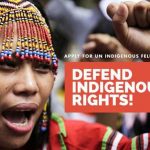 UN OHCHR Indigenous Fellowship Programme