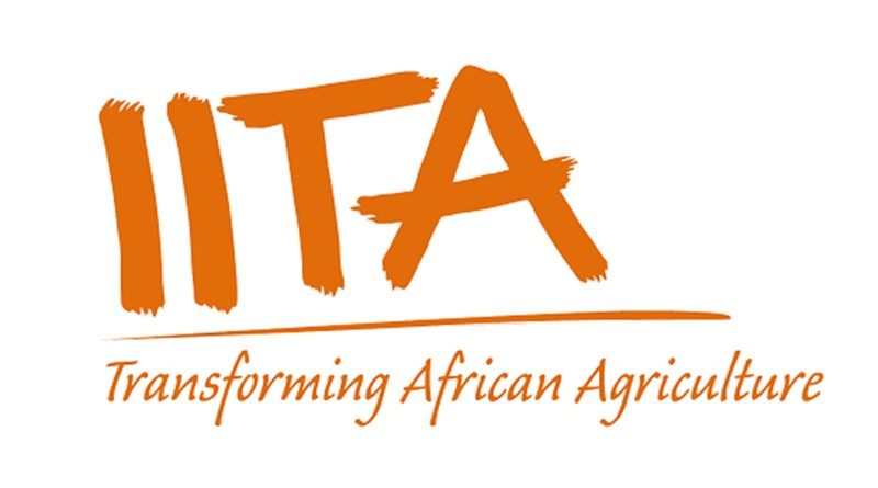 iita international institute of tropical agriculture