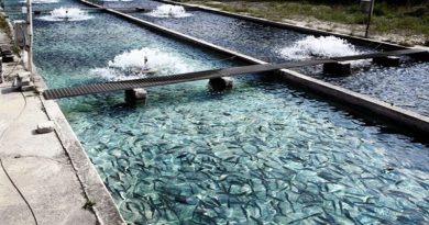 fish farming acquaculture
