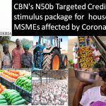 CBN's N50b Targeted Credit Facility stimulus package for households and MSMEs affected by Coronavirus