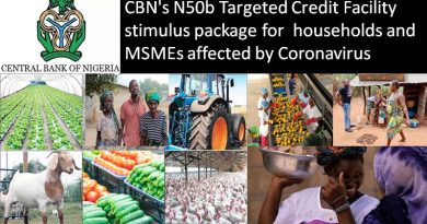 CBN's N50b Targeted Credit Facility stimulus package for households and MSMEs affected by Coronavirus