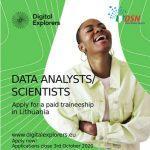 data analysts