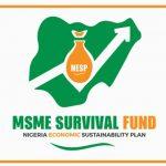 National MSMEs survival fund