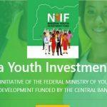 nigerian youth investment fund nyif