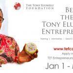 become the next TEF entrepreneur tony elumelu foundation 2021