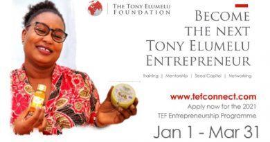 become the next TEF entrepreneur tony elumelu foundation 2021