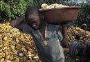 Ending child labour by 2025 requires effective action and strong leadership