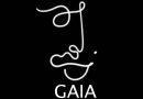 GAIA AFRICA Launches GAIA House in Lagos, a luxurious hub for women leaders