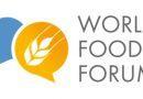 Vibrant youth gathering at World Food Forum sparks ideas and actions to shape the future of agri-food systems