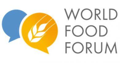 Vibrant youth gathering at World Food Forum sparks ideas and actions to shape the future of agri-food systems