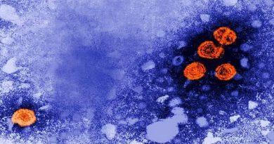 hepatitis B virus sickness disease
