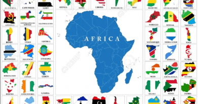 Africa and the African States