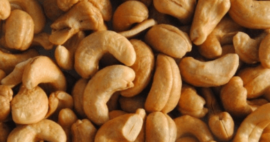 agro commodities grains cashew