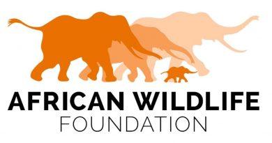 African WildLife Foundation