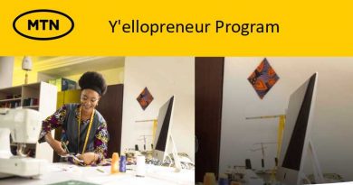 MTN Yellopreneur Program