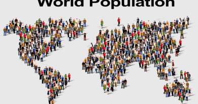 World population hits 8 billion persons