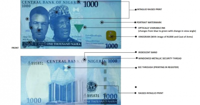 Security features of the naira new notes - how to identify fake naira notes.png