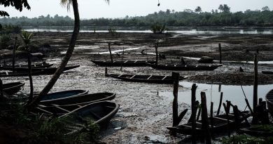 oil spill, oil pollution and environmental damage in the Niger Delta