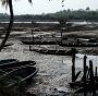 oil spill, oil pollution and environmental damage in the Niger Delta