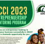 LCCI Entrepreneurship mentoring program