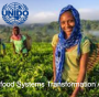 Agrifood Systems Transformation Accelerator ASTA