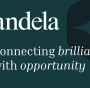 Andela the global network for remote technical talent