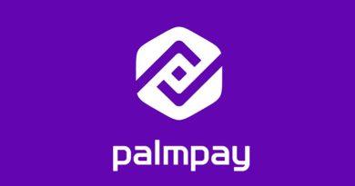 Palmpay