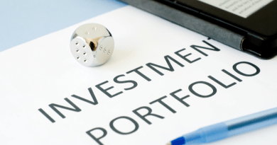 Investment portfolio and portfolio investment