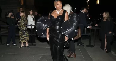 Serena williams named a fashion icon