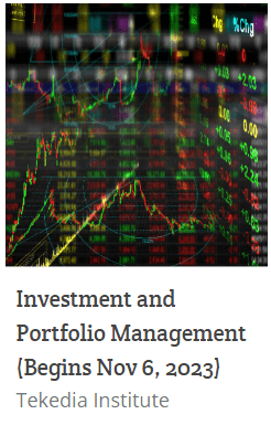 Tekedia Institute - Investment and portfolio Management Course