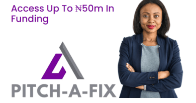 Access up to N50m in Funding in the Pitch-A-Fix competition for Women Entrepreneurs