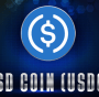 USDC USD COIN