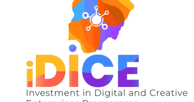 Investment in Digital and Creative Enterprises - IDICE