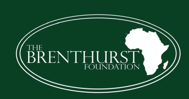 Brenthurst Foundation Machel-Mandela Internship programme