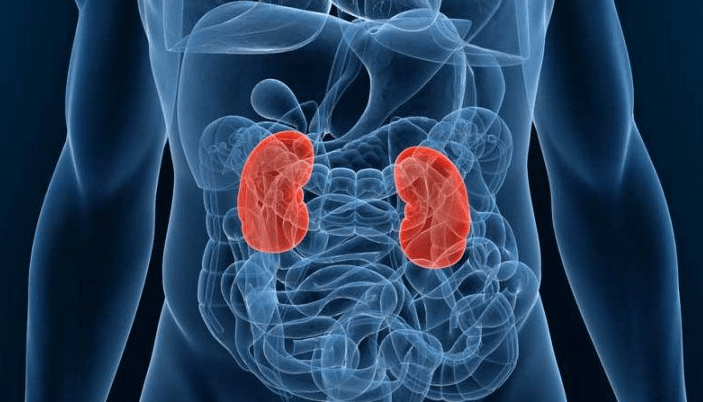 Chronic kidney disease in africa